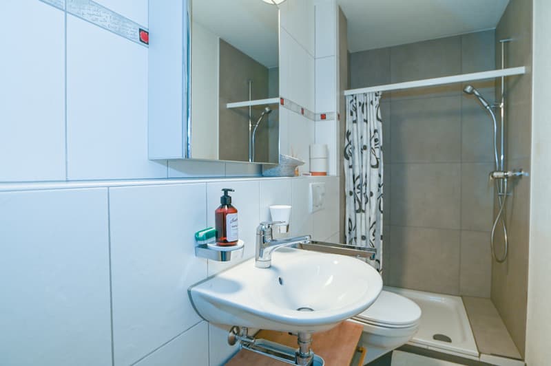 Nasszelle im EG mit Dusche