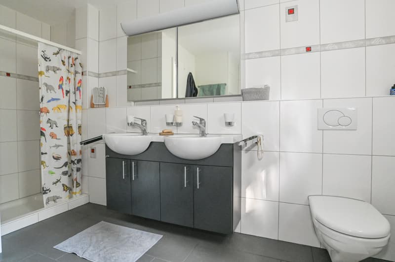 Nasszelle im OG mit Dusche...
