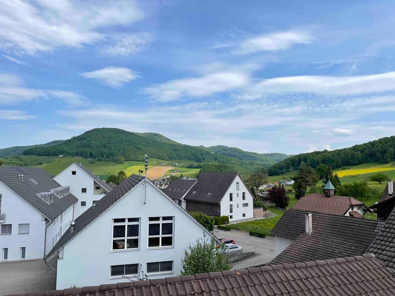 multiple houses, surrounding countryside, parking area, mountains in the background