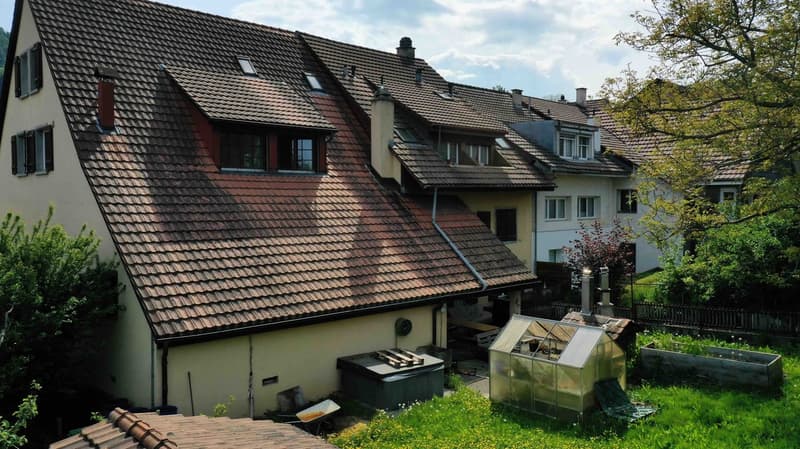 Hinterfassade und Garten