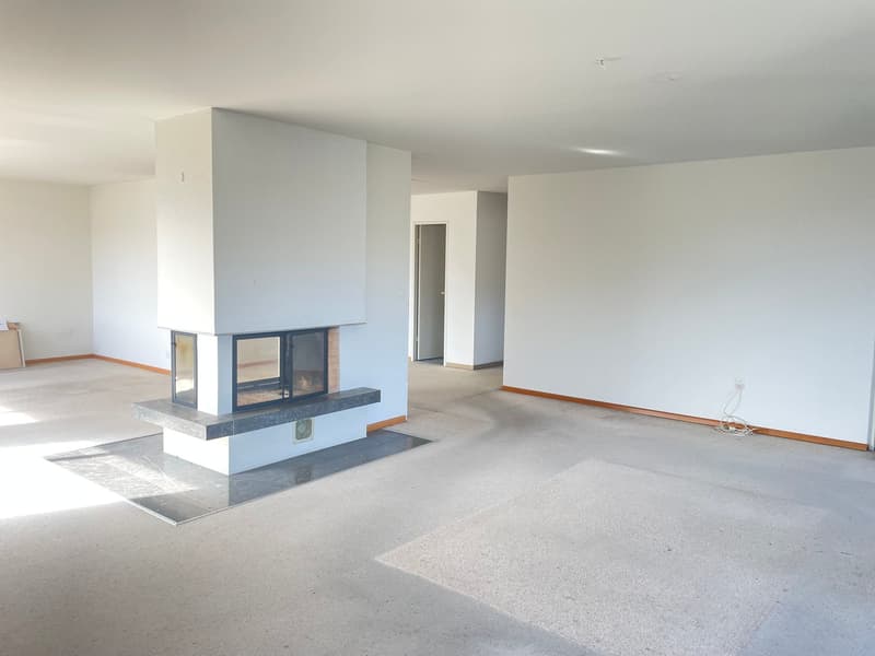 large room, fireplace, white walls, ceiling, carpet, door on the left side