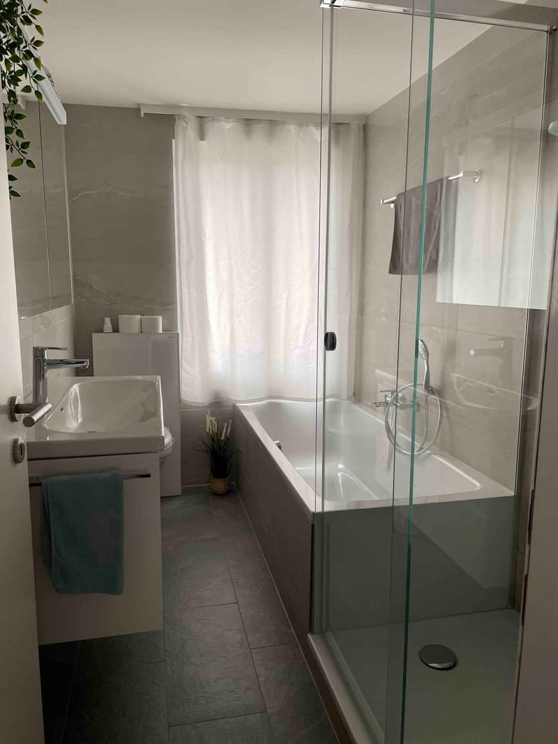 Badezimmer Hauptstrasse 89A