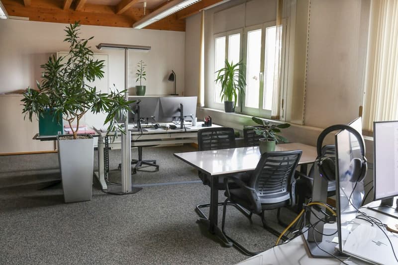 Gewerbeliegenschaft Mühlestrasse 20, Oberwangen
