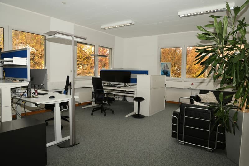 Gewerbeliegenschaft Mühlestrasse 20, Oberwangen