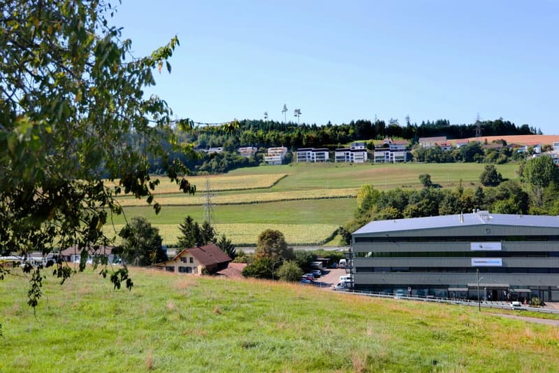 3,5-Zimmer Eigentumswohnung Meriedweg 31, 3172 Niederwangen