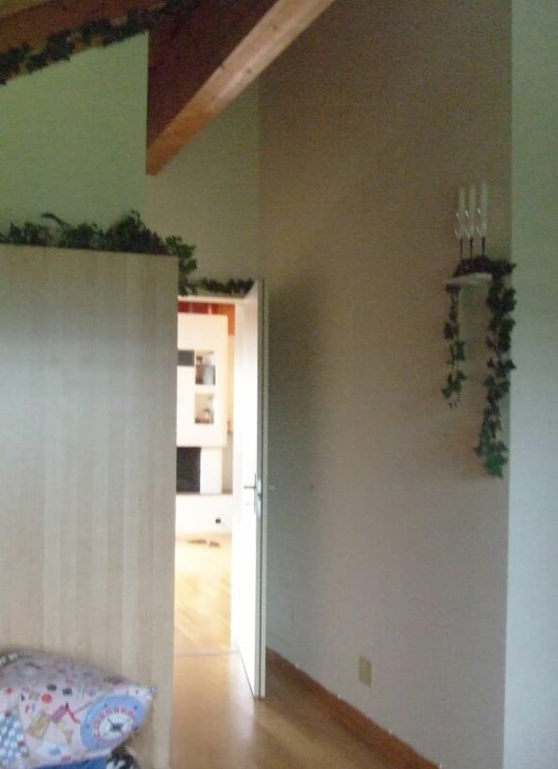 Heimelige Dachwohnung an zentraler Lage (4)