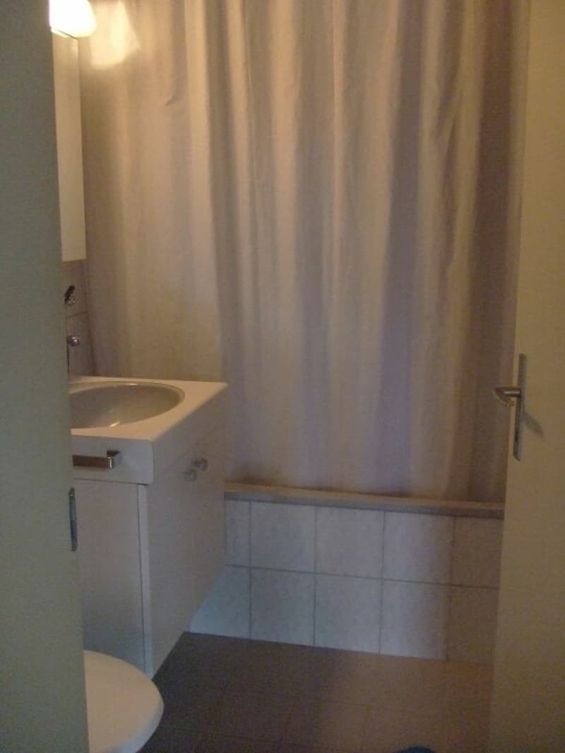 Heimelige Dachwohnung an zentraler Lage (5)