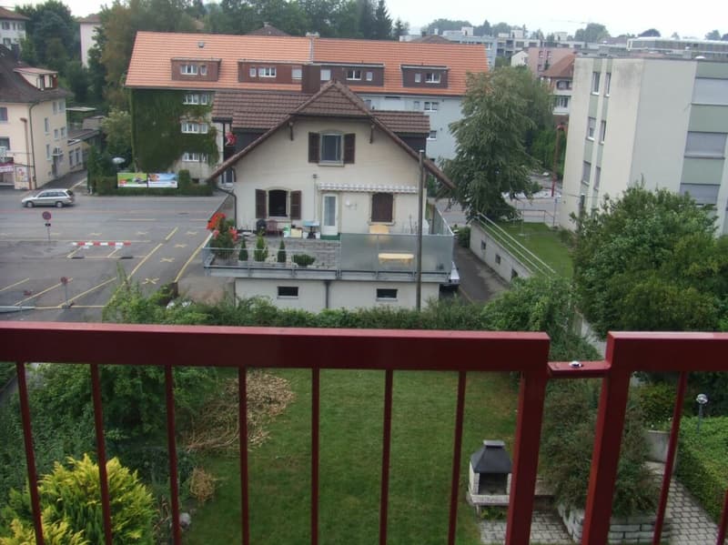 Heimelige Dachwohnung an zentraler Lage (6)