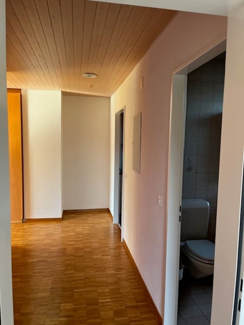 Singlewohnung zum Wohlfühlen (9)
