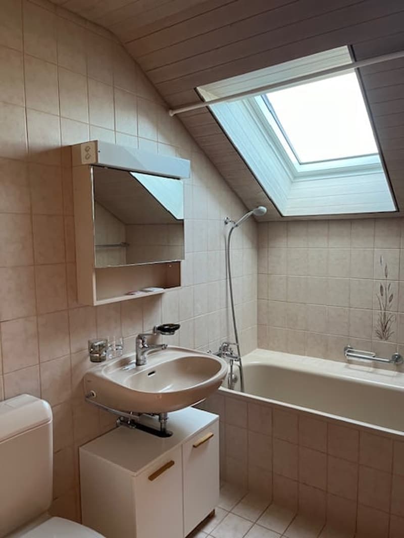 Singlewohnung zum Wohlfühlen (10)