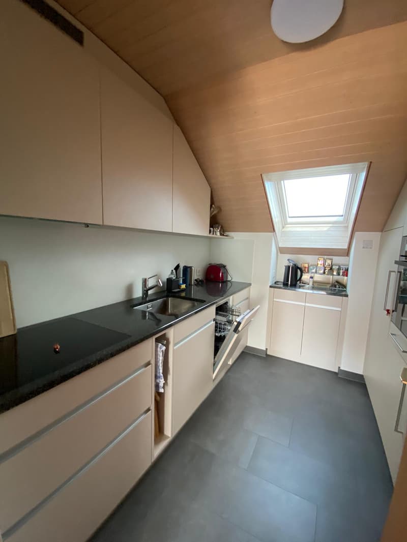 Singlewohnung zum Wohlfühlen (4)