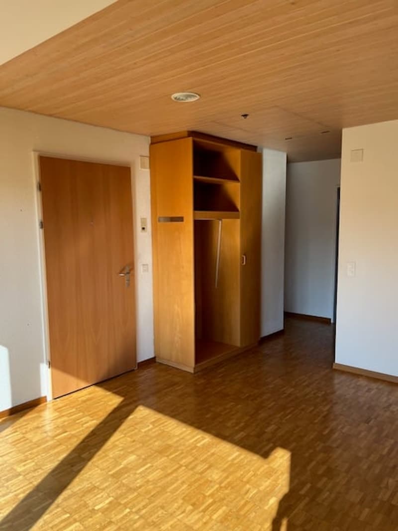 Singlewohnung zum Wohlfühlen (8)