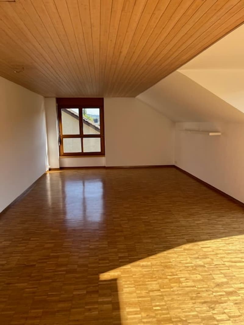 Singlewohnung zum Wohlfühlen (6)
