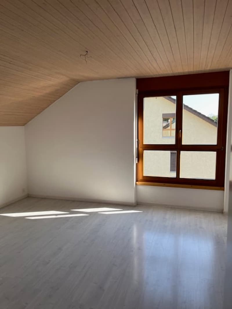 Singlewohnung zum Wohlfühlen (7)