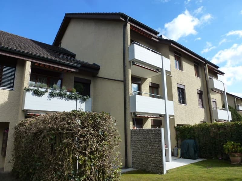 Singlewohnung zum Wohlfühlen (1)