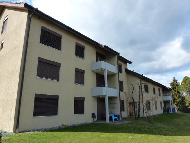 Singlewohnung zum Wohlfühlen (2)
