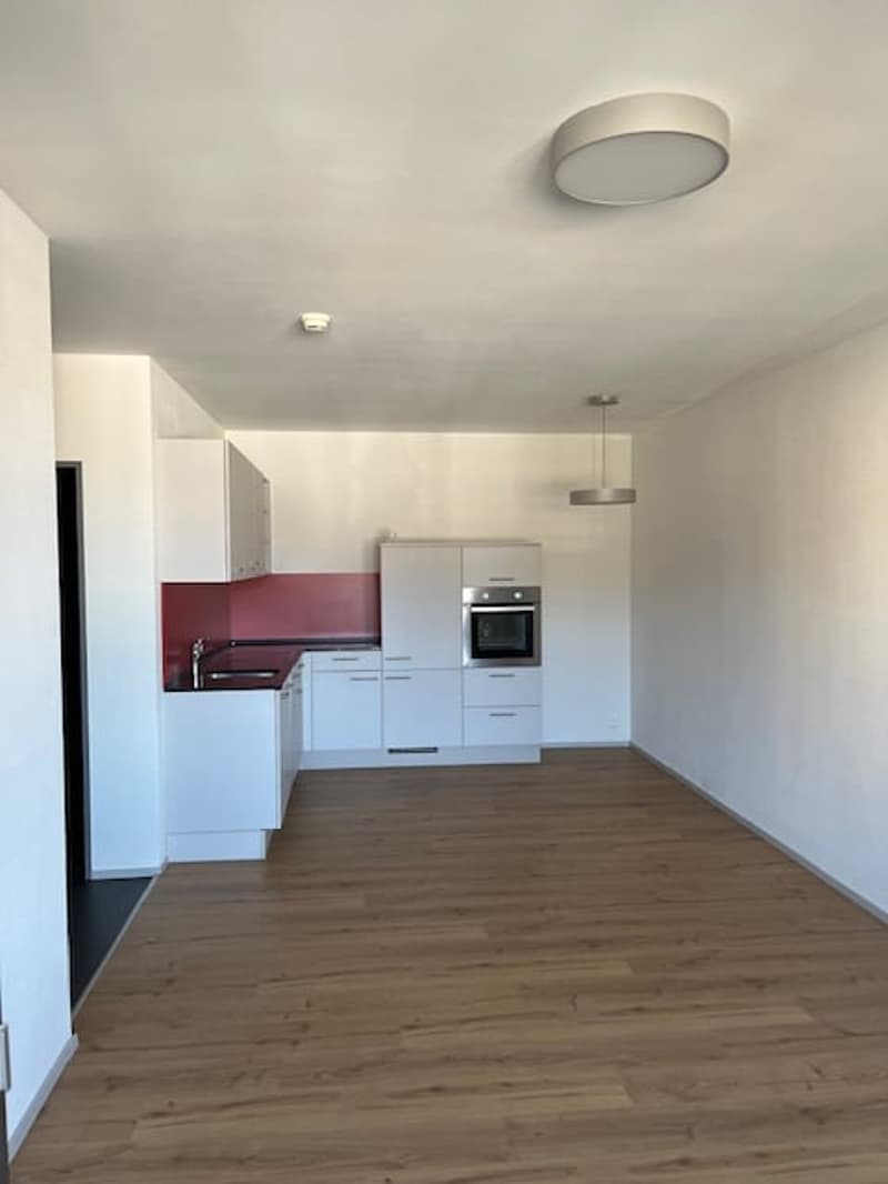 Aarau-West - schöne 3-Zimmerwohnung (3)