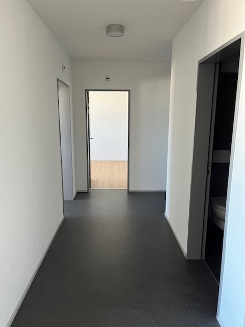 Aarau-West - schöne 3-Zimmerwohnung (4)
