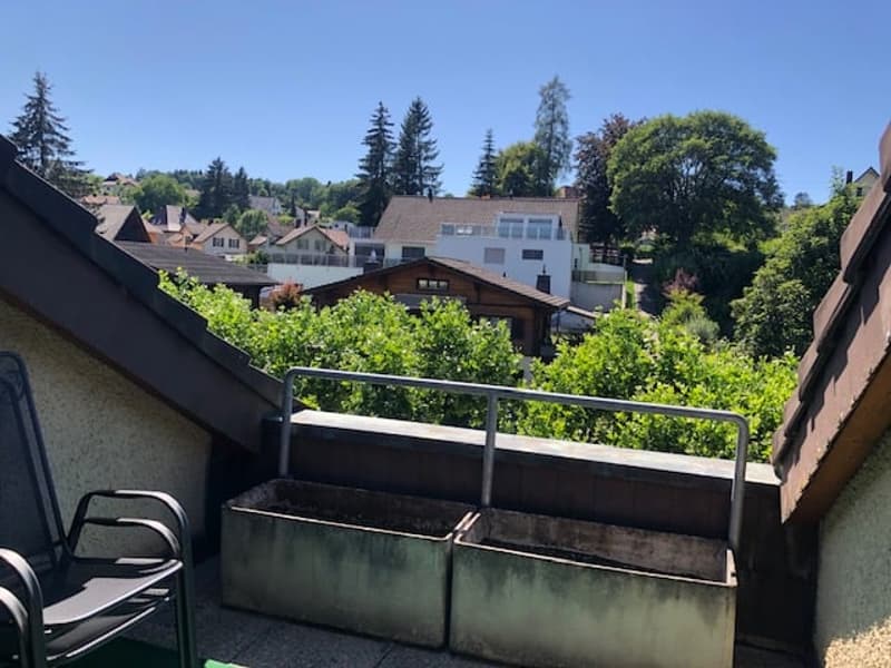 2.5-Zimmer-Dachwohnung im Grünen mit viel Charme (11)