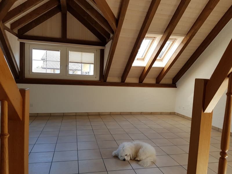 6.5-Zimmer-Dachwohnung in Haus mit viel Charme (6)