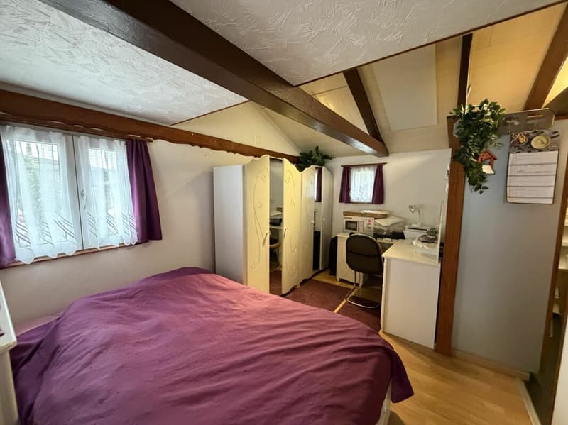 Zu verkaufen: Heimeliges Chalet im Grünen (7)