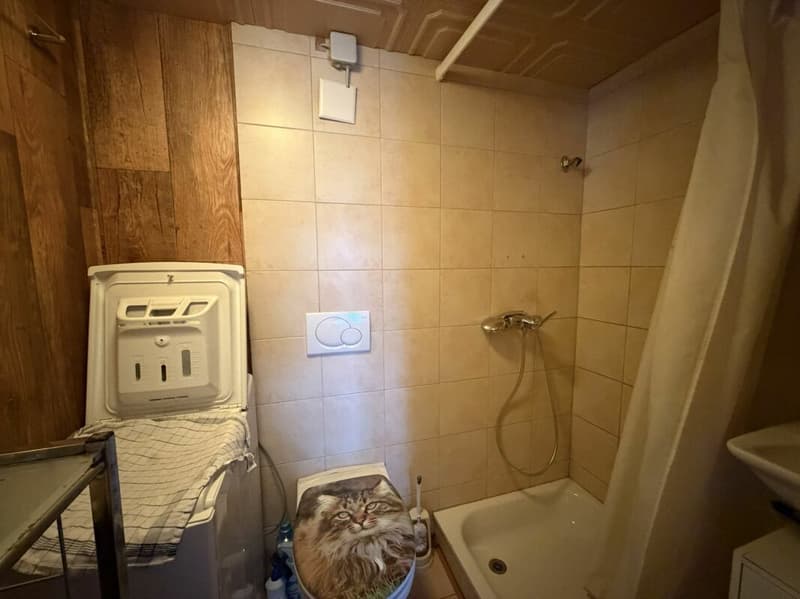 Zu verkaufen: Heimeliges Chalet im Grünen (8)