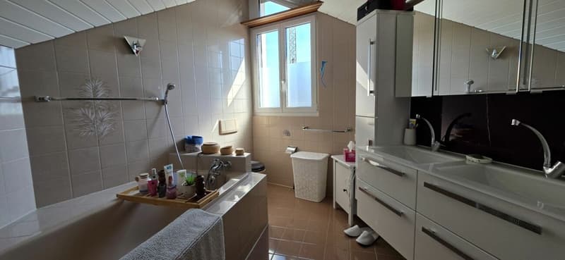 Freistehendes 5.5 Zimmer Einfamilienhaus mit grosszügigem und offenem Grundriss in Niedergösgen (10)