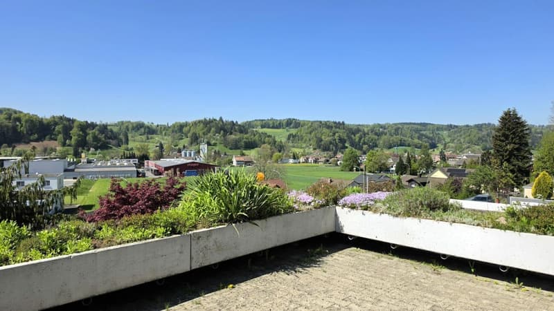 Terrassenwohnung an sonniger, ruhiger Lage und wunderbarer Aussicht (1)