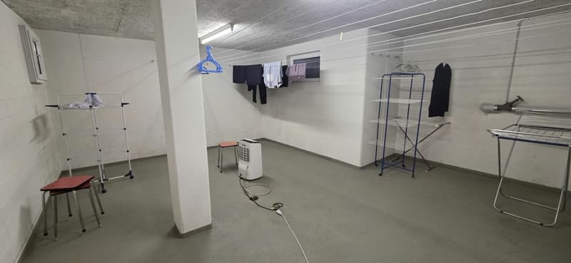 Ihr neues Zuhause - 6.5 Zimmer Maisonette zum Leben und Geniessen (18)