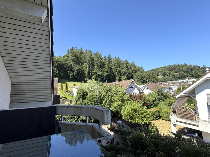 Ihr neues Zuhause - 6.5 Zimmer Maisonette zum Leben und Geniessen (2)