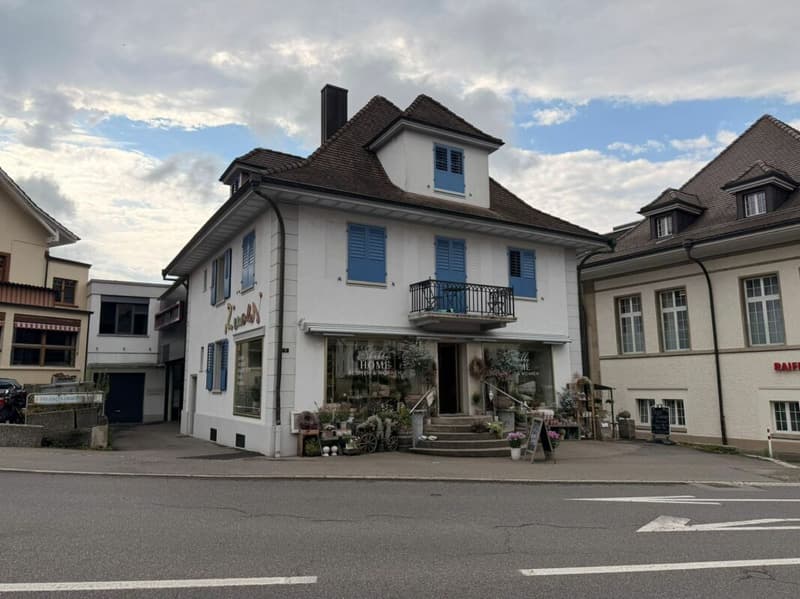 Aussenansicht 1