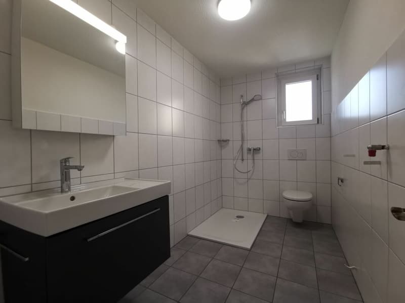 modernes/grosses Badezimmer mit einer Dusche