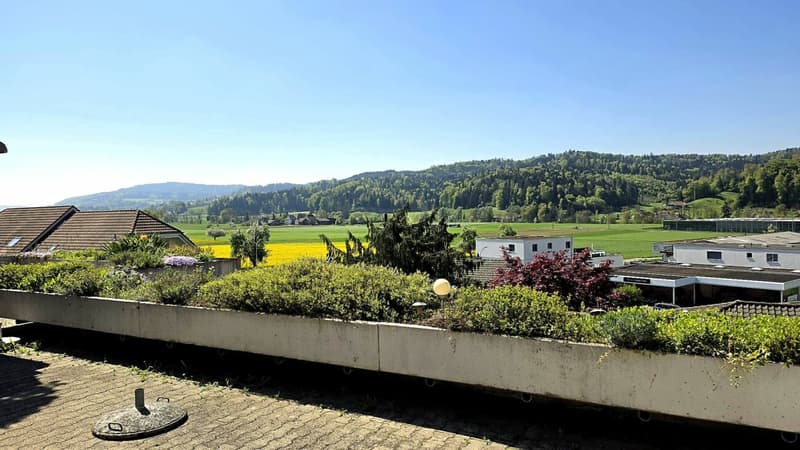Wohnen mit Weitsicht - Terrassenwohnung an ruhiger Aussichtslage (6)
