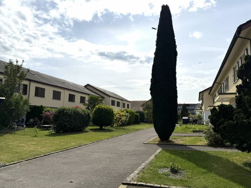 Ihr neues Zuhause in Buchs-charmantes Reihen- Eckhaus an zentraler Lage (10)