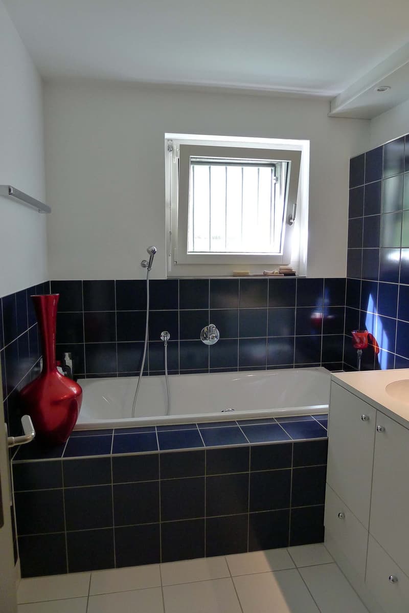 Tornare a casa, respirare profondamente, godere – Il vostro posto di loggia a Baden. (5)
