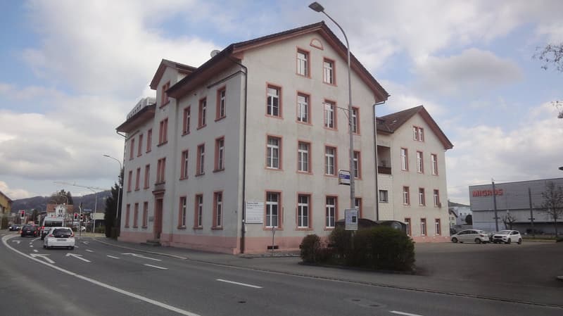 Attraktive und renovierte 5.5-Zimmerwohnung in historischem Fabrikgebäude (1)