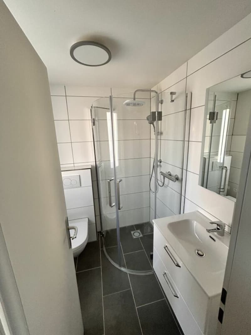 Kernsaniertes Einfamilienhaus mit Einliegerwohnung und grossem Garten (7)