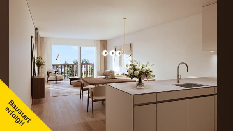 Exklusive 4.5 Zimmer Attikawohnung mit Panorama Terrasse in Therwil (1)