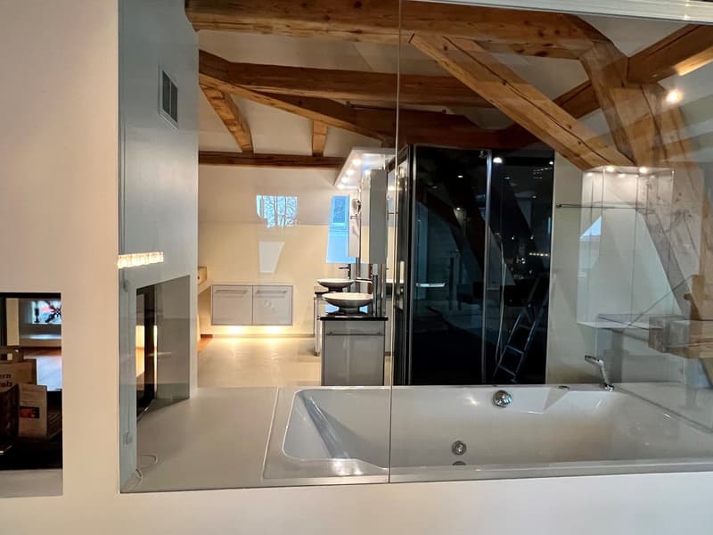 Traumvilla Bj. 1885, kernsaniert / erweitert 2007, 3 lux. Wohnungen / 1 Studio (19)