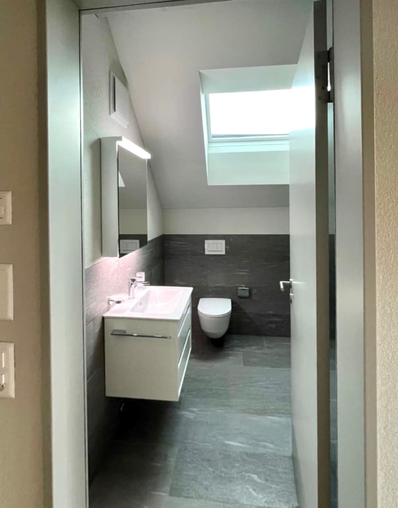 Modernes 7.5-Zimmer-Doppeleinfamilienhaus eingebettet ins Suterguet Gränichen (13)