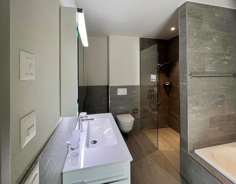 Modernes 7.5-Zimmer-Doppeleinfamilienhaus eingebettet ins Suterguet Gränichen (16)
