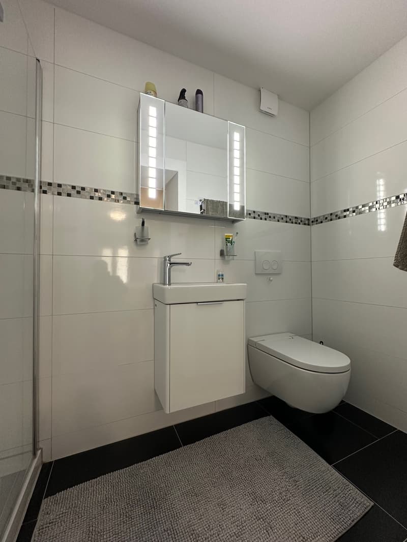 Neuwertige 3.5-Zimmer-Wohnung mit Sitzplatz und Carport zu verkaufen (9)