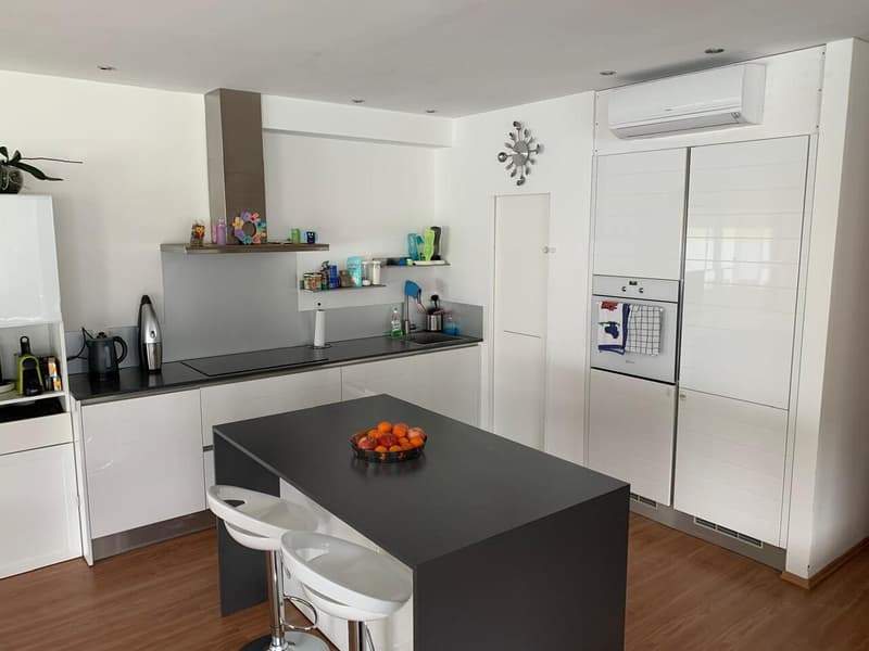 Moderne Attikawohnung mit zwei Panorama-Terrassen (6)