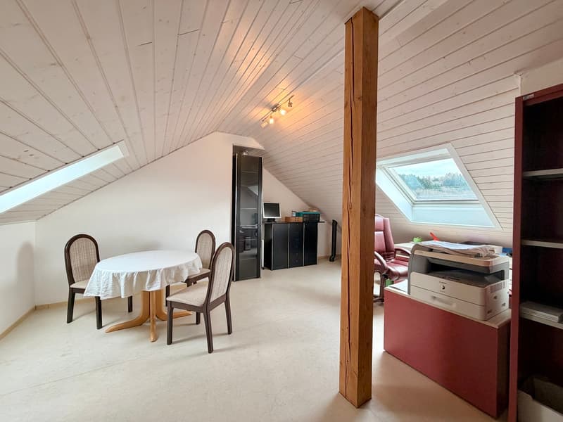 Panorama-Wohnung mit 160 m² Nebenraum - Wohnen ohne Grenzen (12)