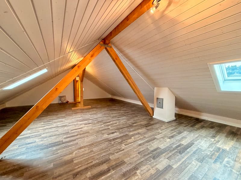 Panorama-Wohnung mit 160 m² Nebenraum - Wohnen ohne Grenzen (11)