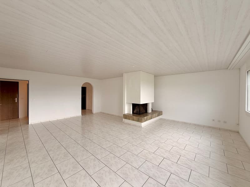 Panorama-Wohnung mit 160 m² Nebenraum - Wohnen ohne Grenzen (4)