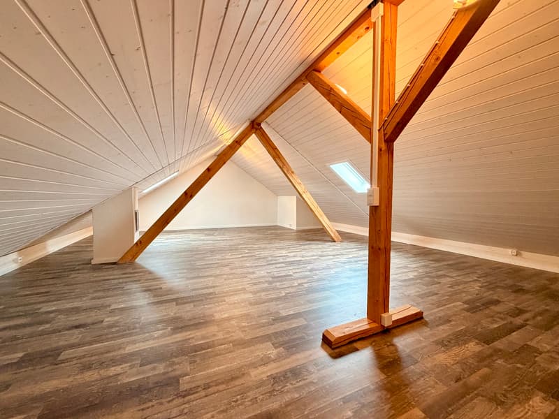 Panorama-Wohnung mit 160 m² Nebenraum - Wohnen ohne Grenzen (10)