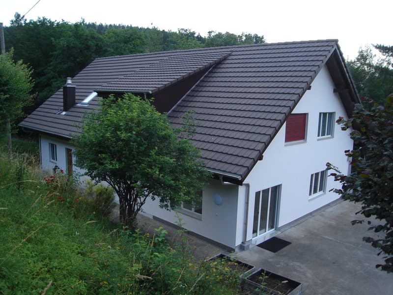 Attraktives Wohn- und Geschäftshaus mit Lagerhalle und 3 Wohnungen (2)