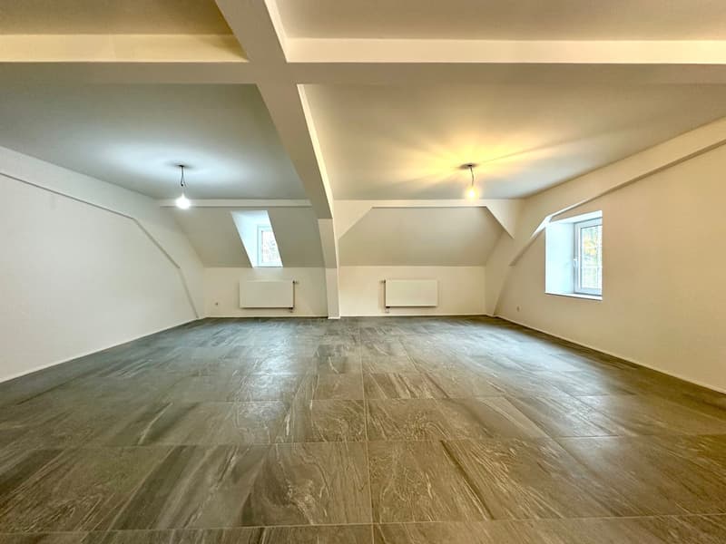 Maisontte-Wohnung mit grosser Terrasse (3)