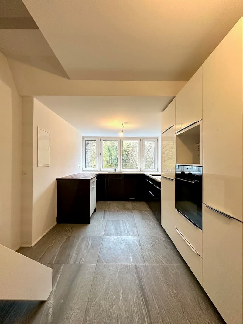 Maisontte-Wohnung mit grosser Terrasse (5)